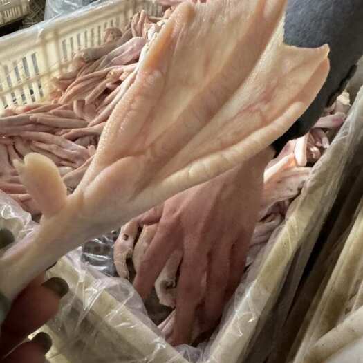 青州市鸭掌