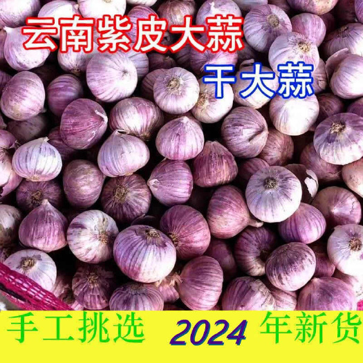 昆明今年新蒜 独头蒜包邮2024年农家紫皮新鲜独蒜头独蒜红皮大蒜