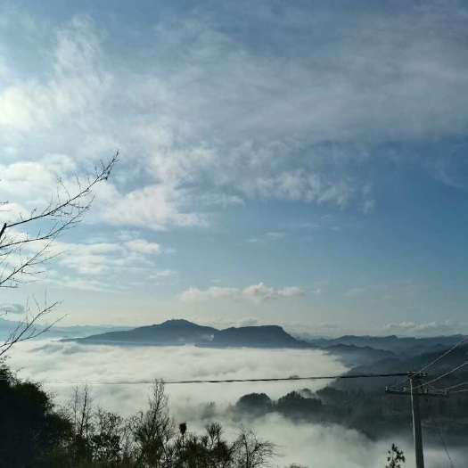 利川市有林地