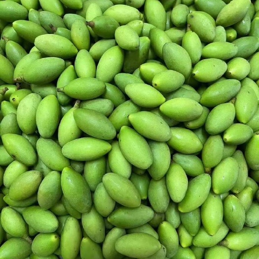 广州青橄榄