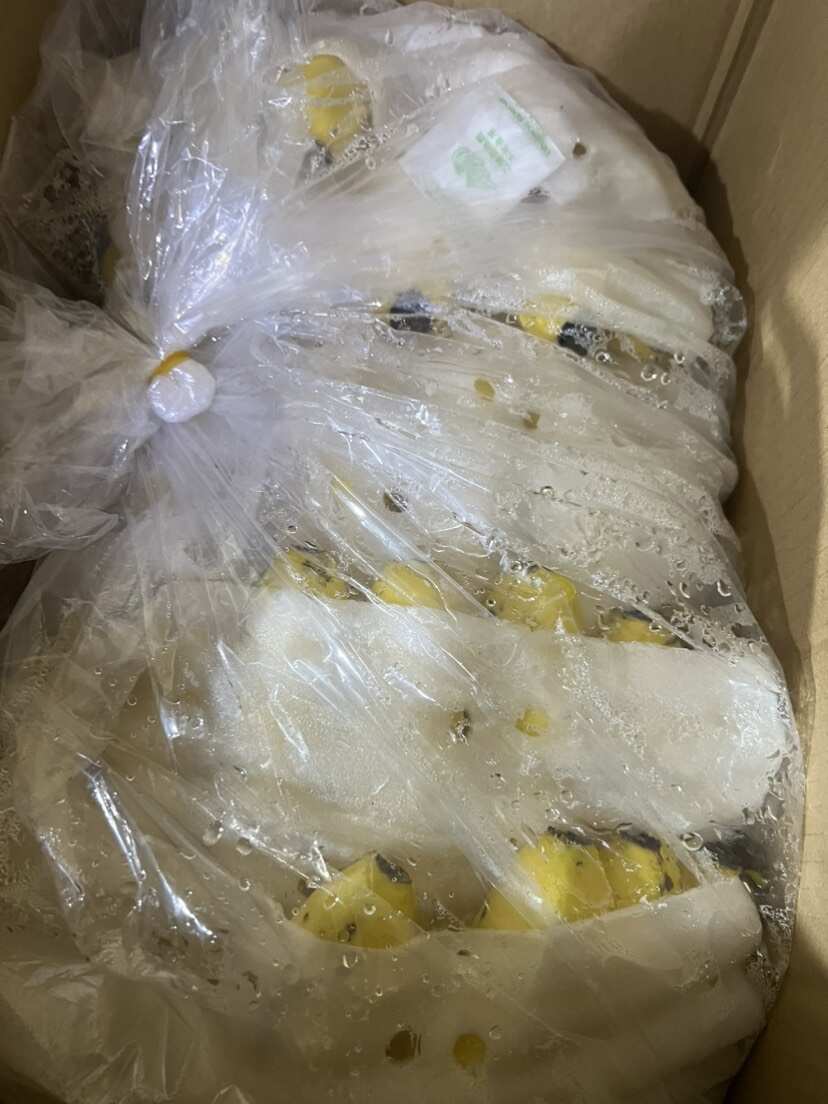 海南小蕉上高清，和大蕉一个效果，精品小蕉