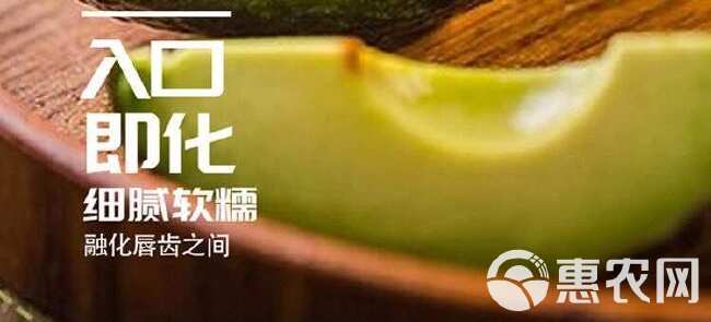 【巨无霸】墨西哥牛油果鳄梨宝宝辅食新鲜水果上海现货速发