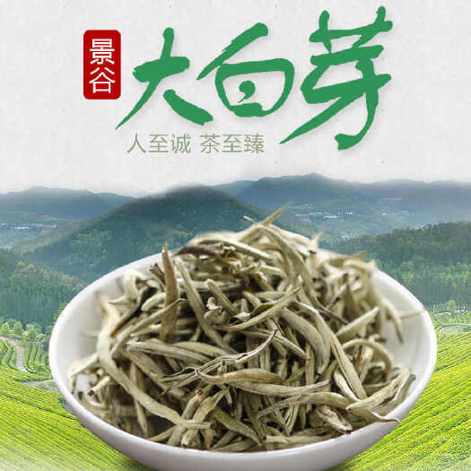 昆明【批发价】2024年新茶云南景谷白毫银针纯芽头普洱茶生茶