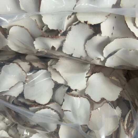 万宁市虎奶菇