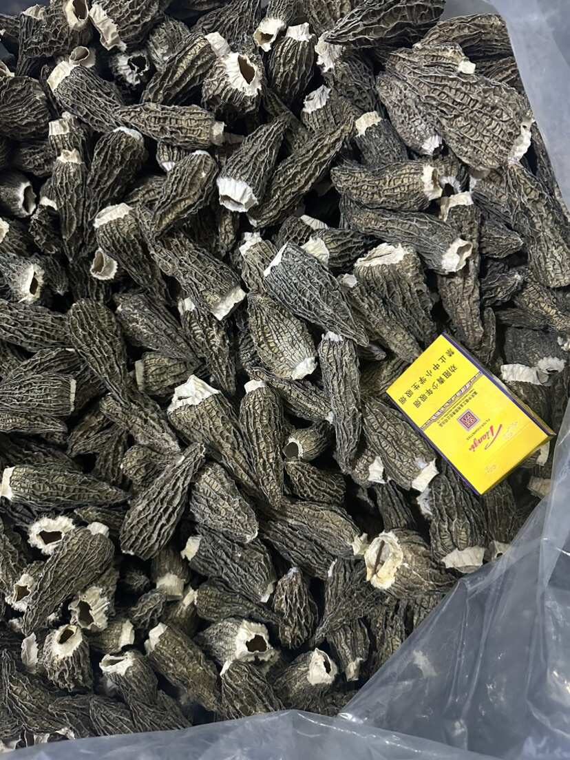 羊肚菌干货精选2025剪炳干羊肚菌酒店饭店新鲜羊肚菌