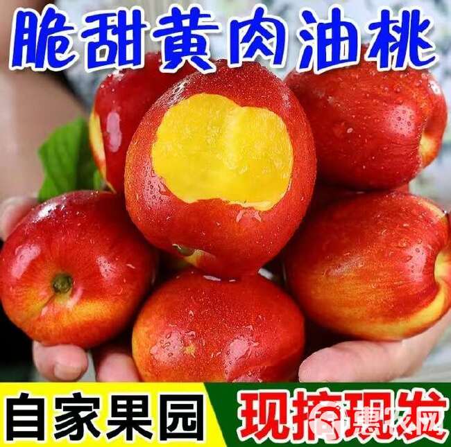 现摘】黄心油桃5斤应季大桃子新鲜水果当季水密桃整箱蜜脆桃