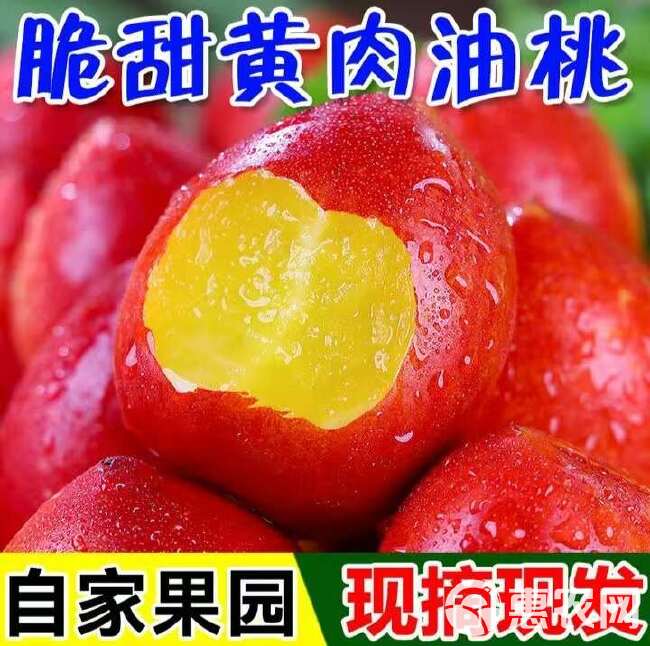 现摘】黄心油桃5斤应季大桃子新鲜水果当季水密桃整箱蜜脆桃