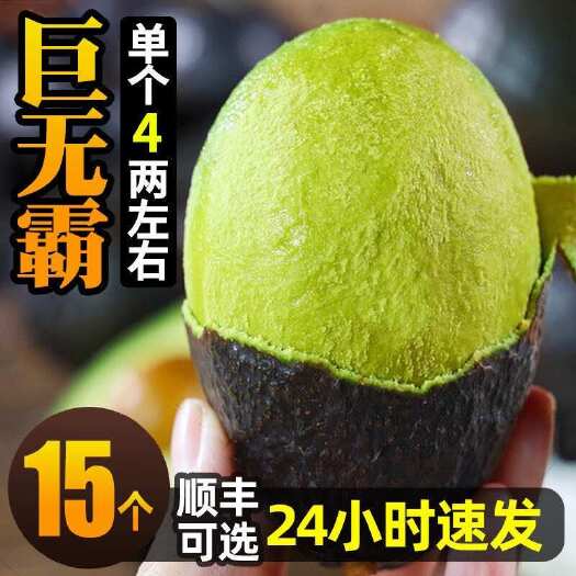 昆明【巨无霸】墨西哥牛油果鳄梨宝宝辅食新鲜水果上海现货速发
