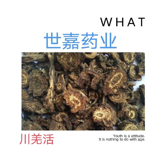 羌活，川羌活，切片，统货，新货，无硫，