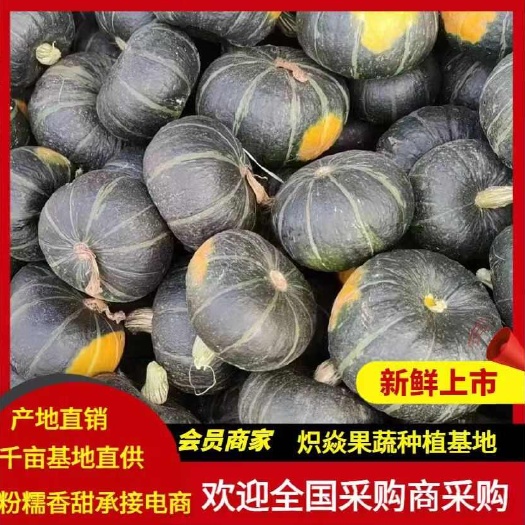 寿光市贝贝南瓜 正品真贝贝，粉糯香甜，承接电商、市场货定制
