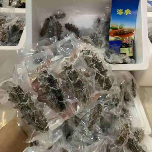 广州鲜食海参辽参高刺100根即食海参整箱批发