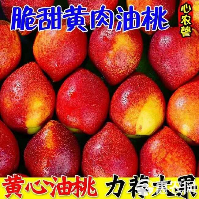 现摘】黄心油桃5斤应季大桃子新鲜水果当季水密桃整箱蜜脆桃