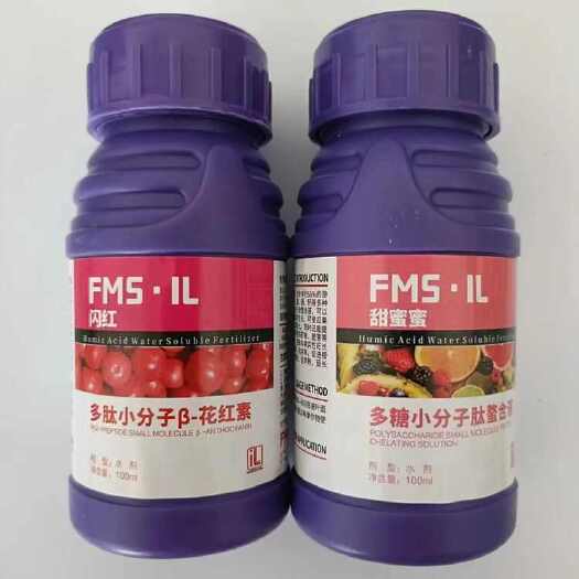 大荔县闪红+甜蜜蜜，冬枣褪青增糖上色，水果转色，不软果