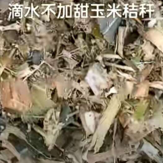8月份有20万吨甜玉米秸秆在新疆伊犁奎屯市出手，可做饲料肥料