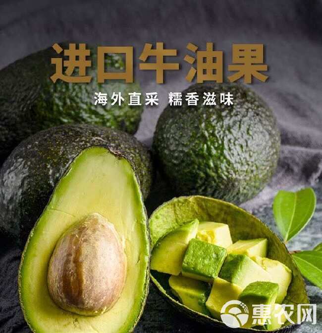 【巨无霸】墨西哥牛油果鳄梨宝宝辅食新鲜水果上海现货速发