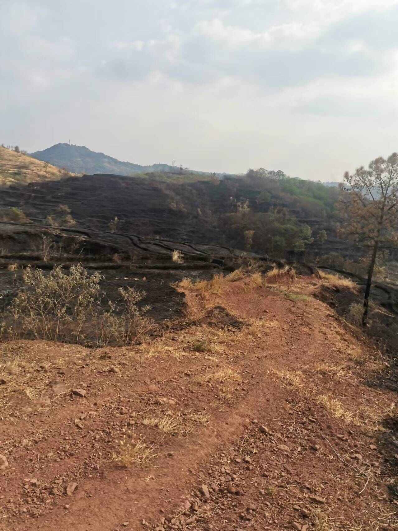湖南衡阳地区  山地村集体资源出租