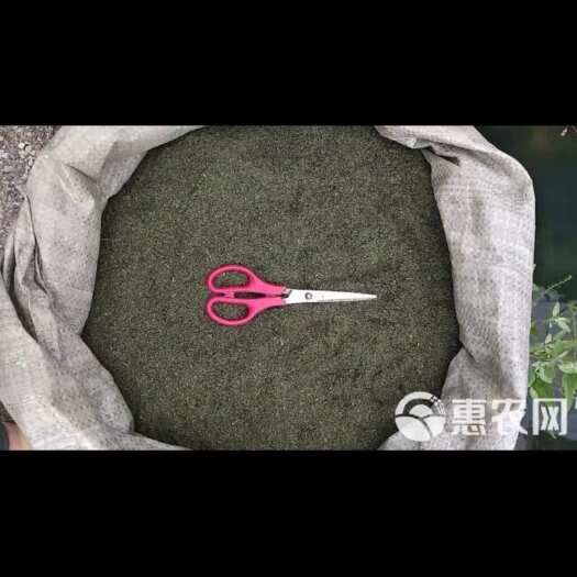 盘州市苦蒿，学名黄花蒿，现有23吨现货