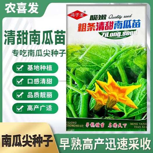 专门吃南瓜苗种子专吃南瓜茎嫩叶藤瓜果种子瓜藤种子蔬菜种子