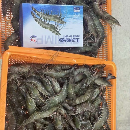 越南生冻黑虎虾鲜活超大基尾虾对虾九节虾斑节虾可供电商代发