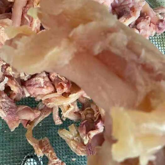 阳信县牛筋  熟牛主筋 精修全熟原味牛主筋