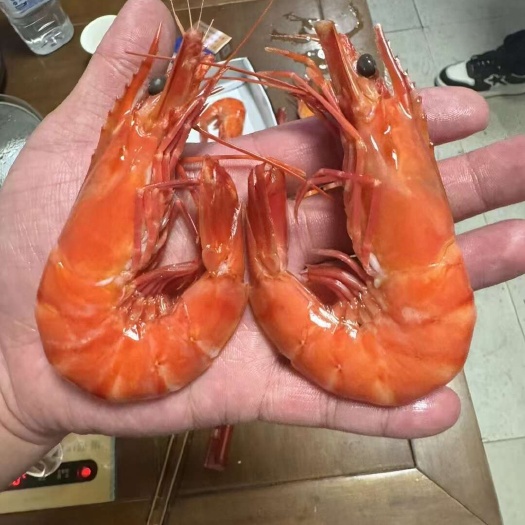 越南黑虎虾熟冻鲜活超大基尾虾对虾九节虾斑节虾可供电商代发