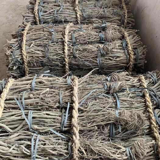 丰顺县鱼藤根，鱼藤酮