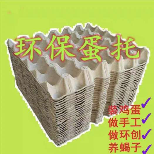 杭州蛋托养蟋蟀蜈蚣蝎子
