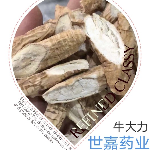 牛大力 牛蒡子 选货 颜色好 无虫新货 千金拔