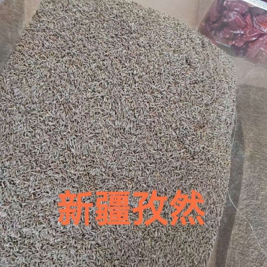 济南孜然