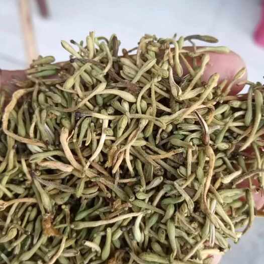 金银花花蕾，靓货，干净