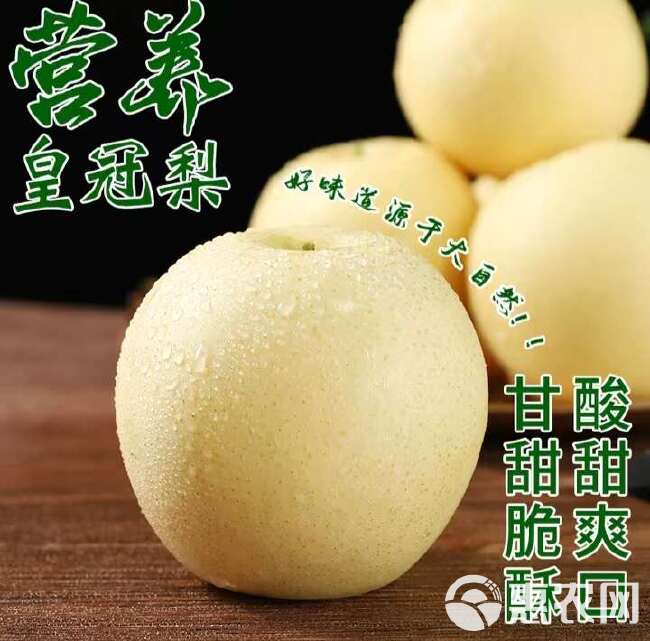 雪梨皇冠梨雪花梨水果新鲜梨子应季水果批发整箱梨子薄皮润肺酥梨