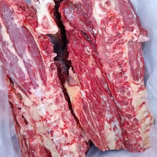 郑州驴蝎子，脊骨