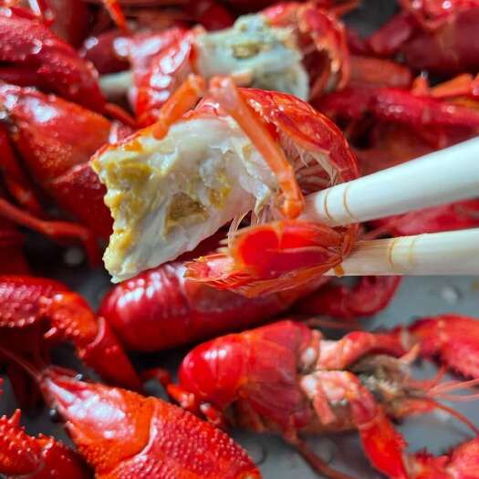 泰兴市液淡油炸3.-5液淡油炸4-6