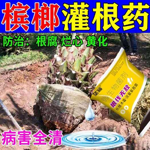 栾川县槟榔根腐病灌根药防治根腐烂根脚腐病黄化杀菌剂救根养根快速生根