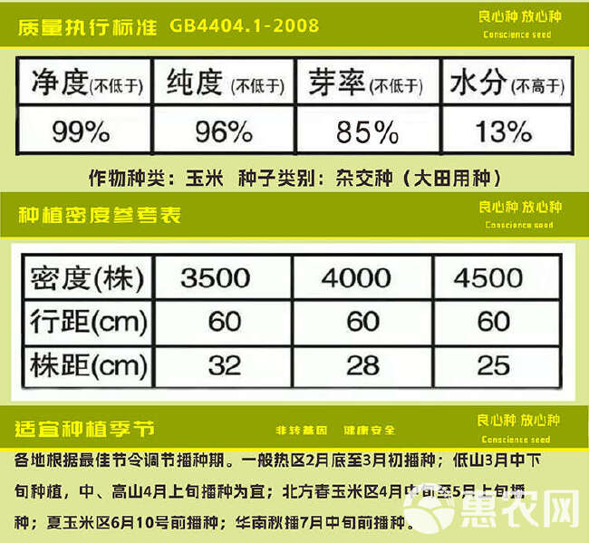 玉米种子批发大棒粮饲兼用产量铁秆不倒活秆成熟厂家直销