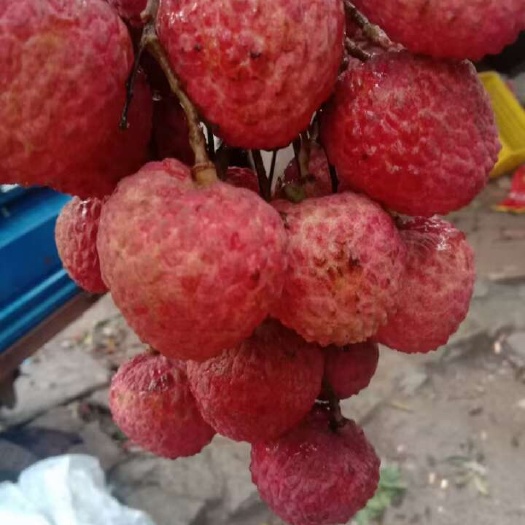  糯米糍