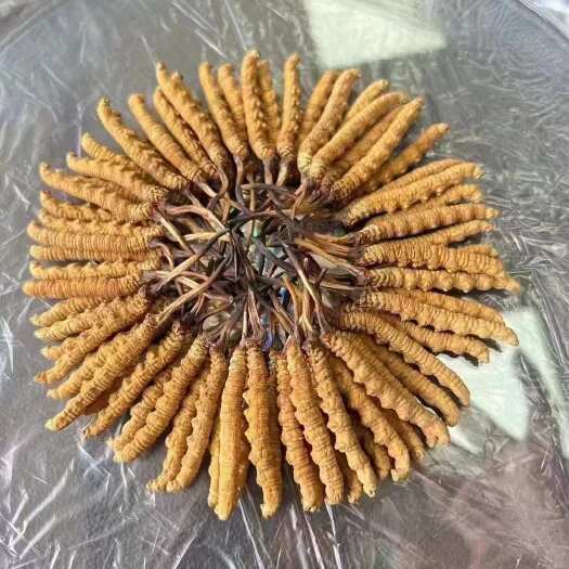 比如县今年新干草已上市需要新干草的赶紧联系我色泽鲜艳虫体饱满