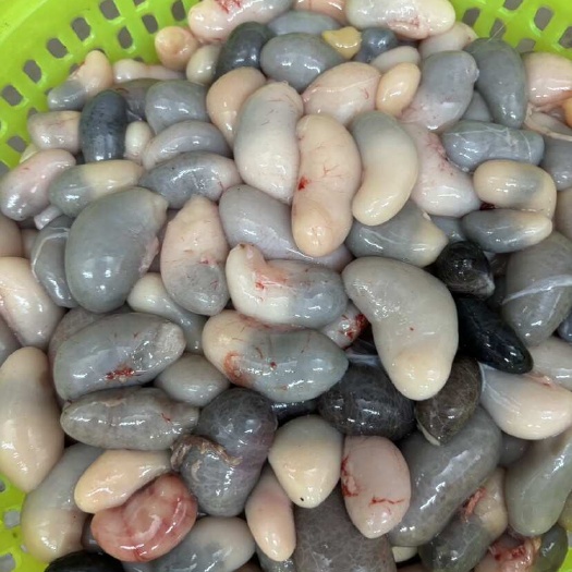 汕头乌鸡腰子，新鲜乌鸡腰子。