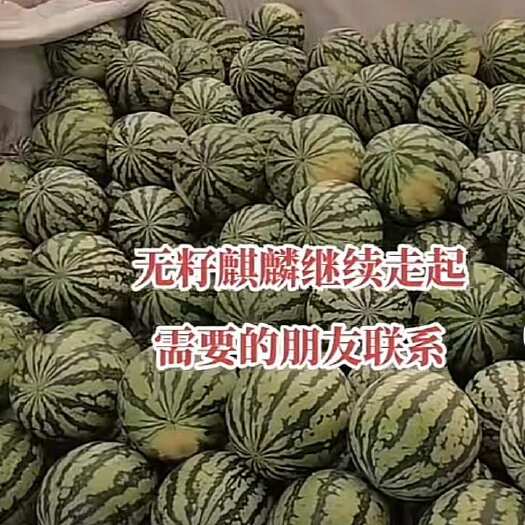 忻州农产品种植基地