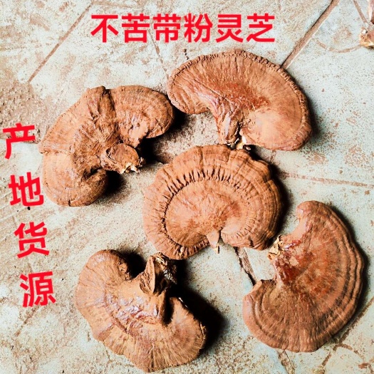 冠县带孢子粉灵芝 不苦的灵芝 可切片适合煲汤 泡酒 泡茶