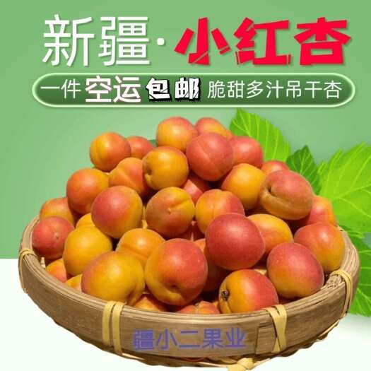 阿克苏市新疆阿克苏四团小红杏吊干杏脆甜多汁批发代发顺空运包邮新鲜采摘