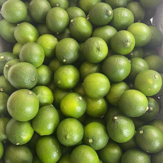 北流市塔西提无籽青柠檬皮薄多汁