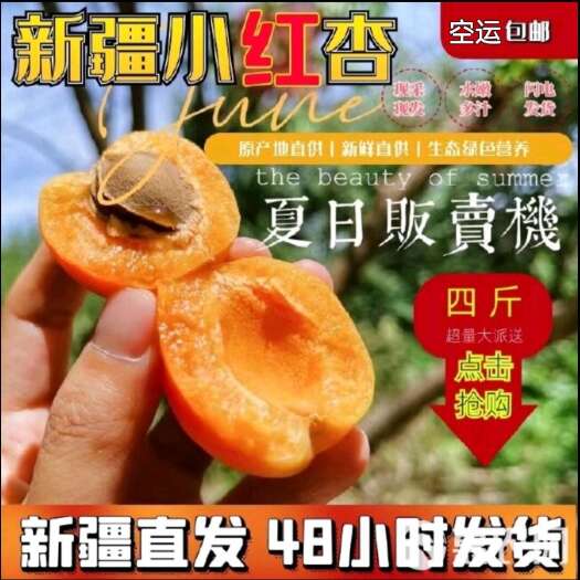 阿克苏市新疆阿克苏四团小红杏吊干杏脆甜多汁一件空运包邮新鲜采摘