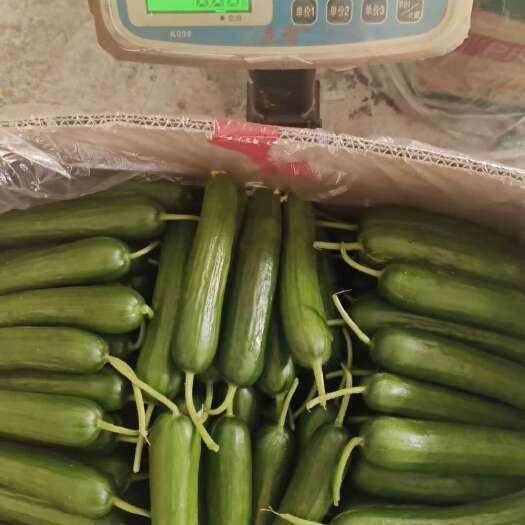 菏泽精品泡沫箱