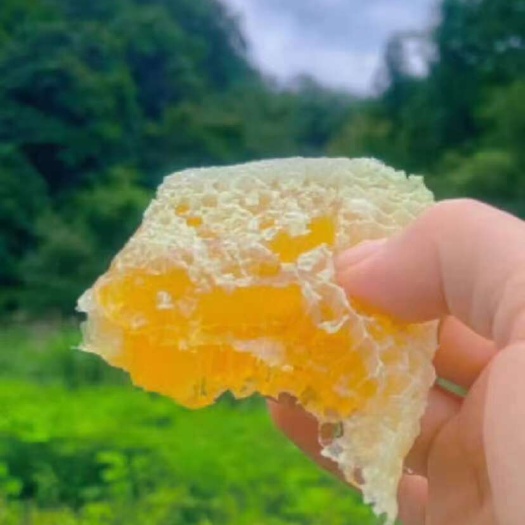 瑞金市土蜂蜜