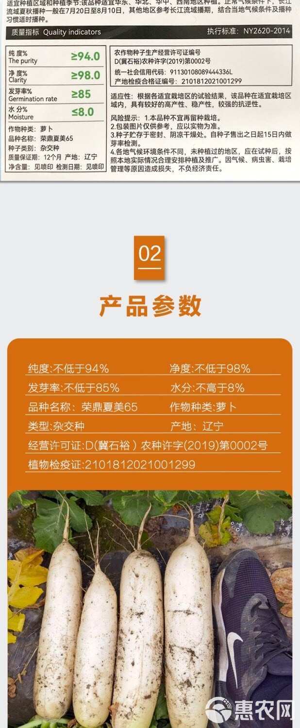 夏季抗热品种夏白玉白萝卜种子夏秋栽培耐热早熟萝卜种孑南方蔬菜