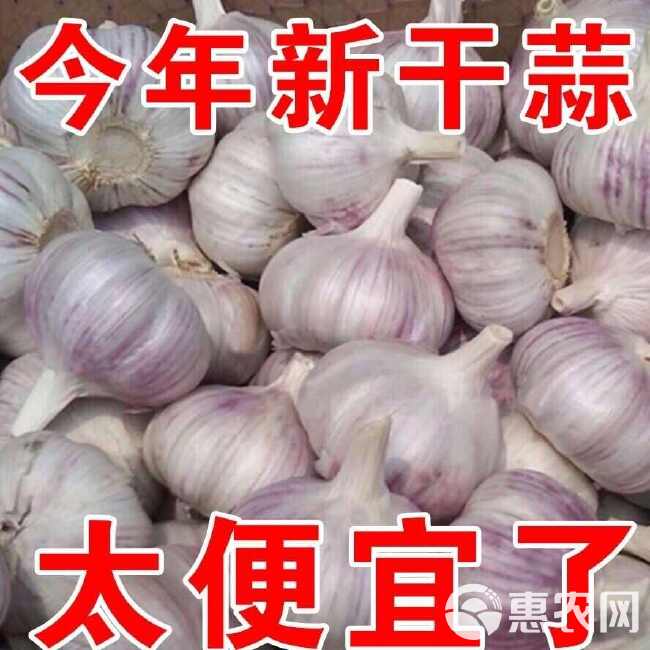 干果大蒜，紫皮，耐储存