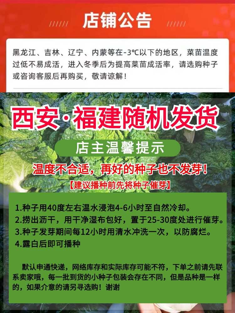 羊角蜜甜瓜种子香瓜种子早熟皮薄甘甜香润肉质细嫩多汁