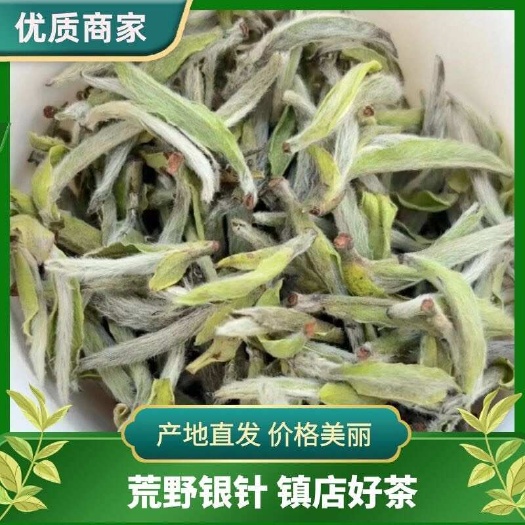 福鼎白茶白毫银针米粒白茶批发 茶叶批发 明前白茶 单芽白