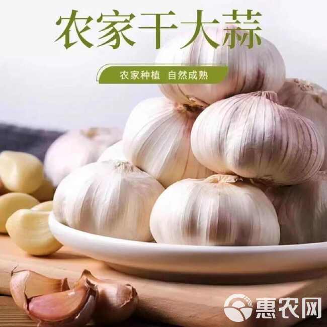 干果大蒜，紫皮，耐储存